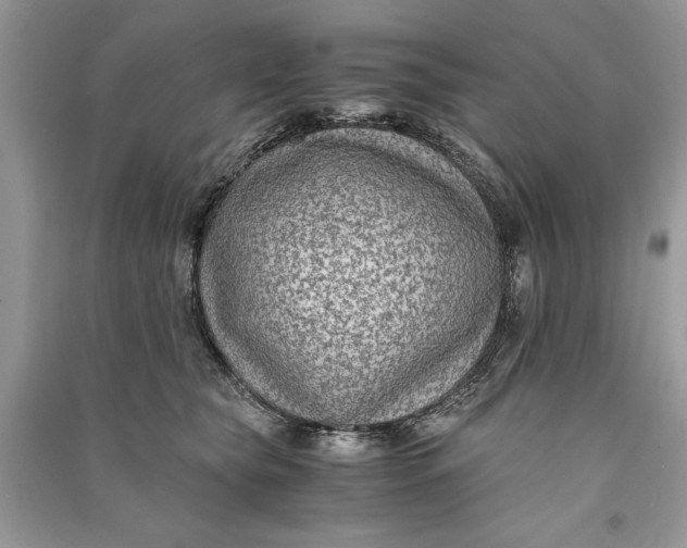 X0000090700565200708101444