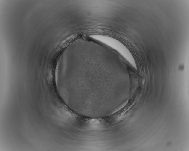 X0000090700566200708101444