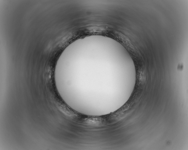 X0000090700567200708101444