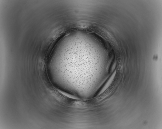 X0000090700568200708101444