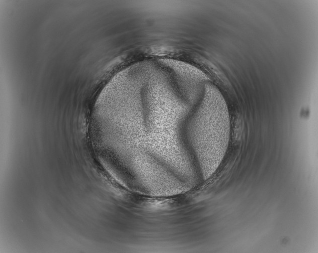 X0000090700569200708101444