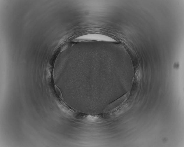 X0000090700570200708101444