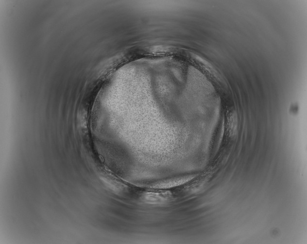 X0000090700571200708101444