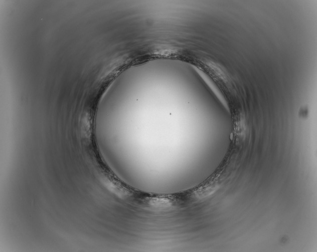 X0000090700572200708101444