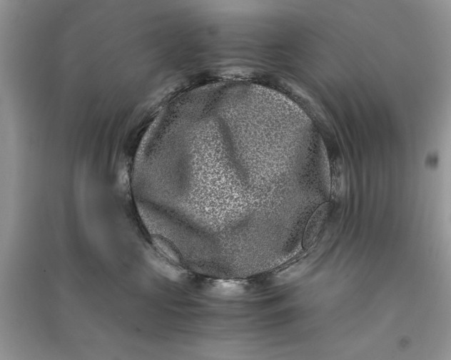 X0000090700573200708101444