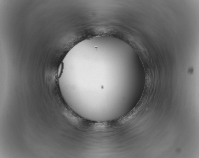 X0000090700574200708101444