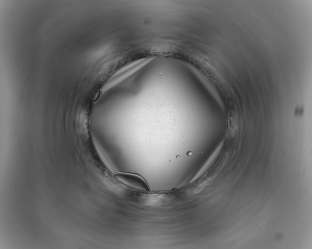X0000090700575200708101444