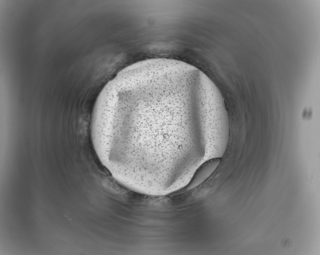 X0000090700576200708101444