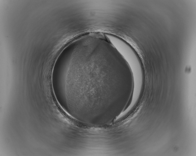 X0000090700577200708101444