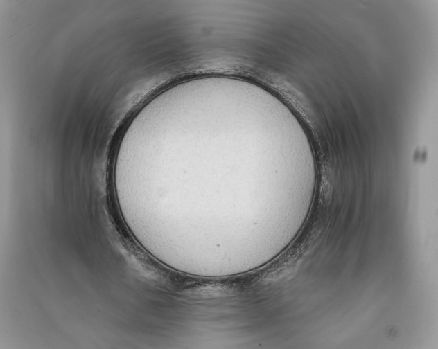 X0000090700578200708101444