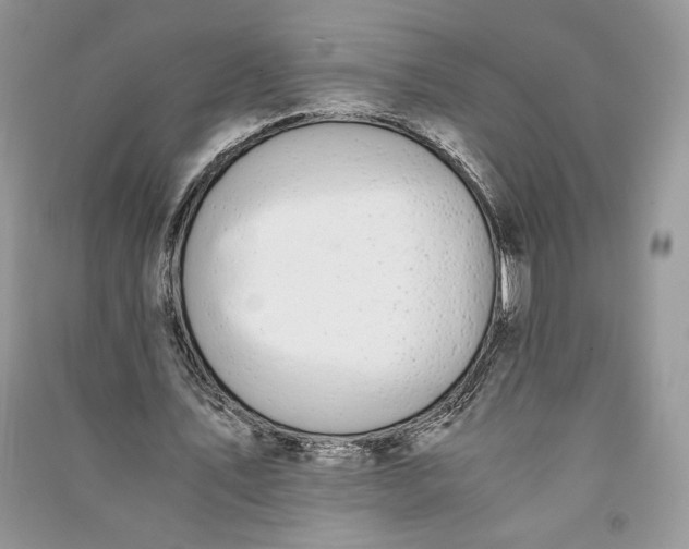X0000090700579200708101444
