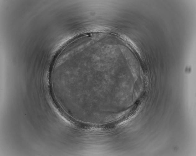 X0000090700581200708101444