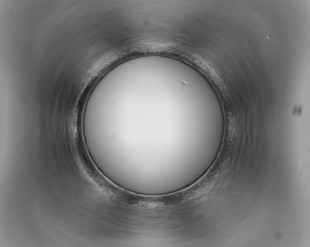 X0000090700582200708101444