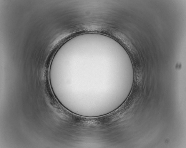 X0000090700583200708101444
