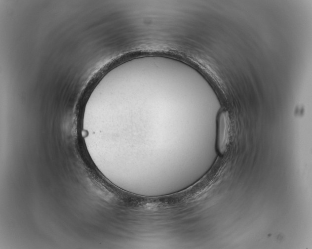 X0000090700584200708101444