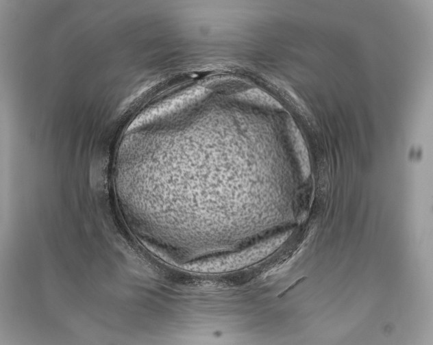 X0000090700585200708101444
