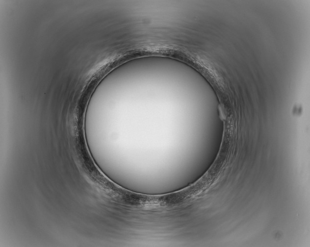X0000090700587200708101444