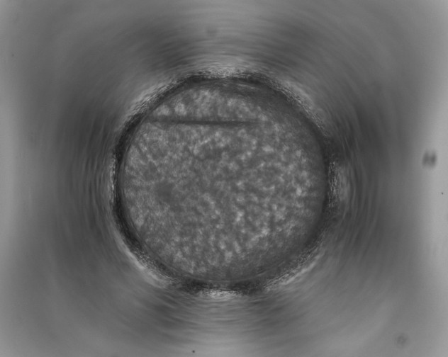 X0000090700590200708101444