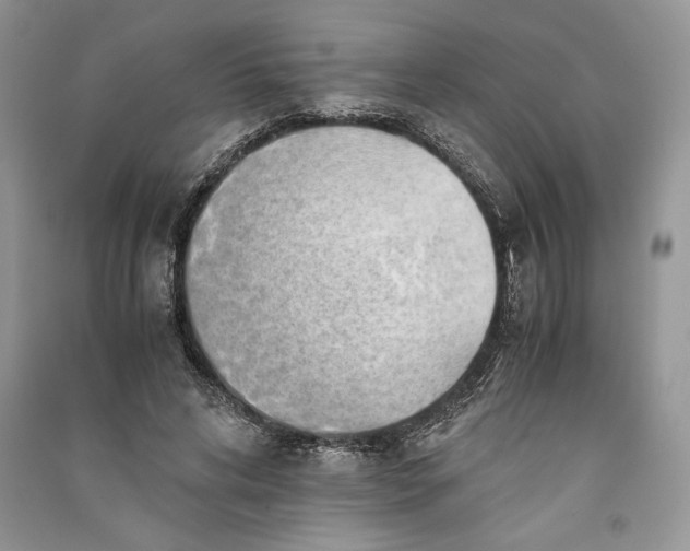 X0000090700592200708101444