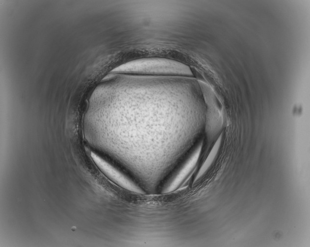 X0000090700593200708101444