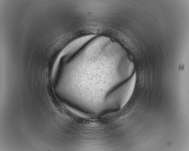 X0000090700594200708101444