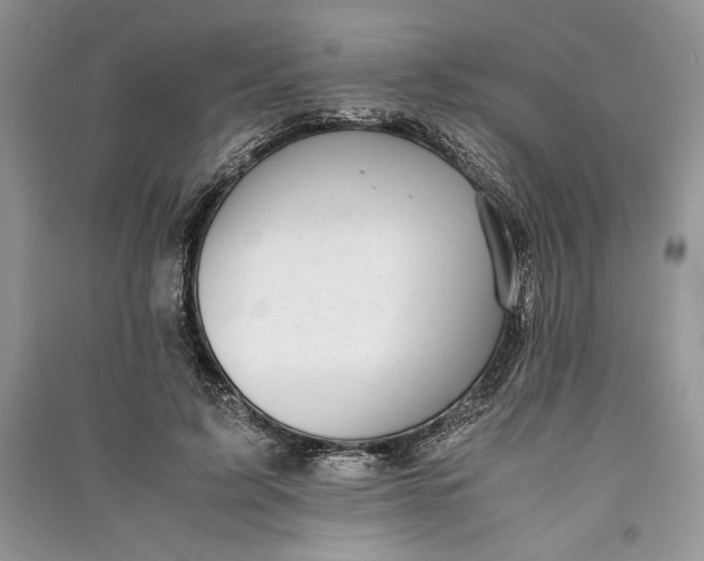 X0000090700595200708101444