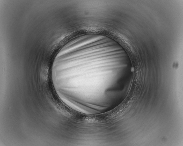 X0000090700596200708101444