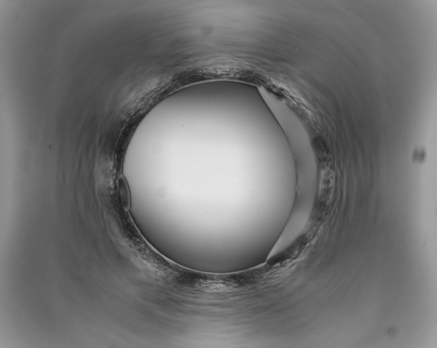 X0000090700597200708101443