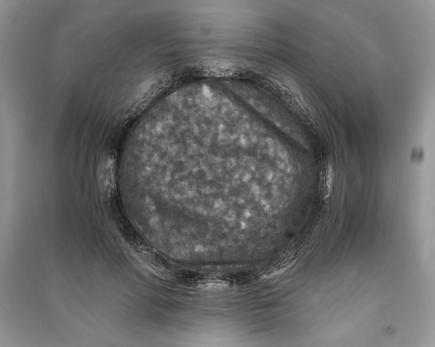 X0000090700598200708101443