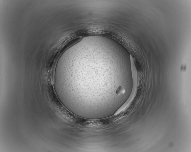 X0000090700601200708101443