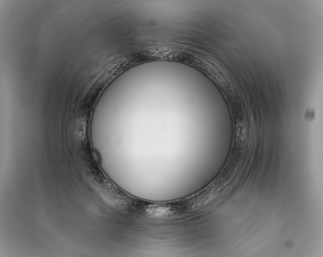 X0000090700602200708101443