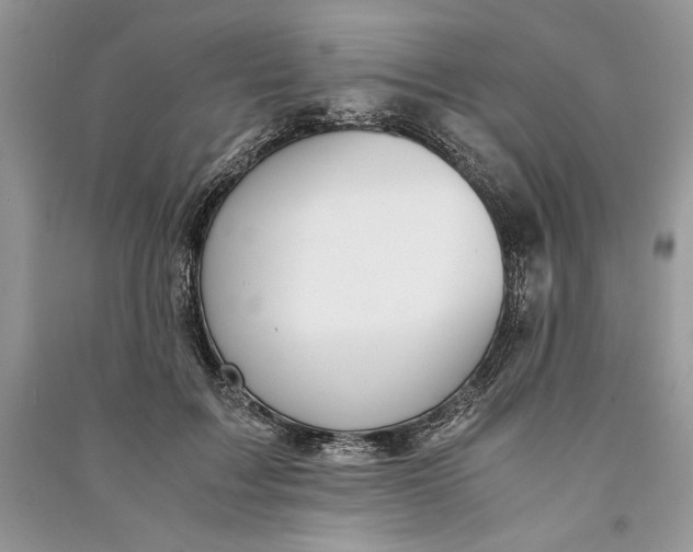 X0000090700603200708101443