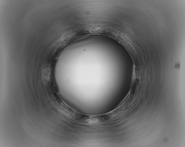 X0000090700604200708101443