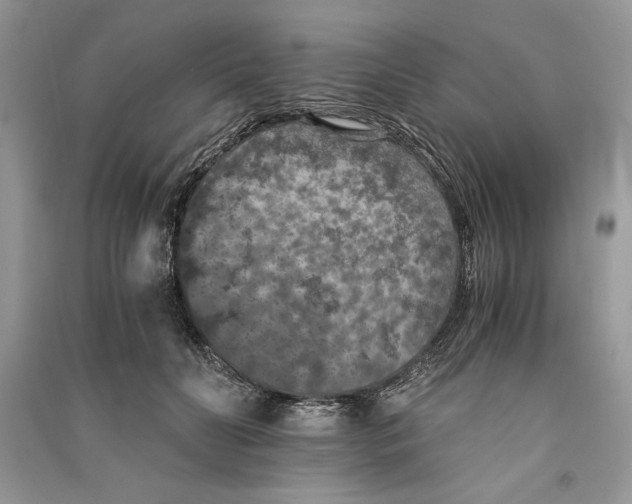 X0000090700606200708101443
