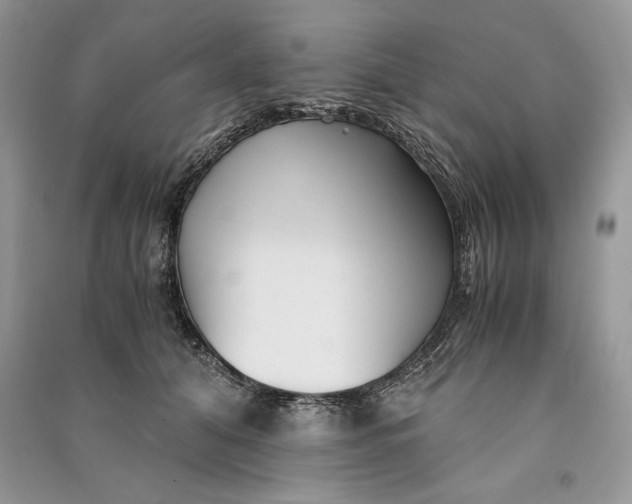 X0000090700608200708101443