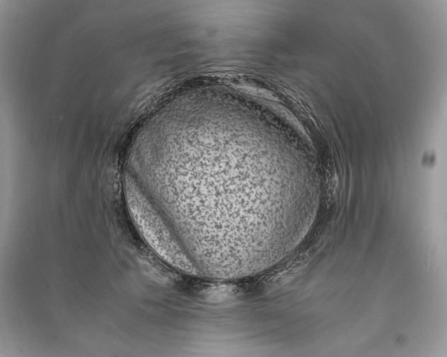 X0000090700609200708101443