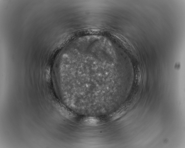 X0000090700610200708101443