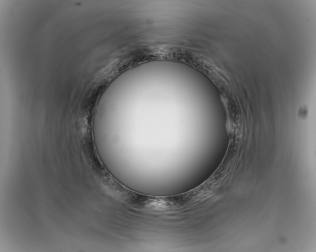 X0000090700611200708101443