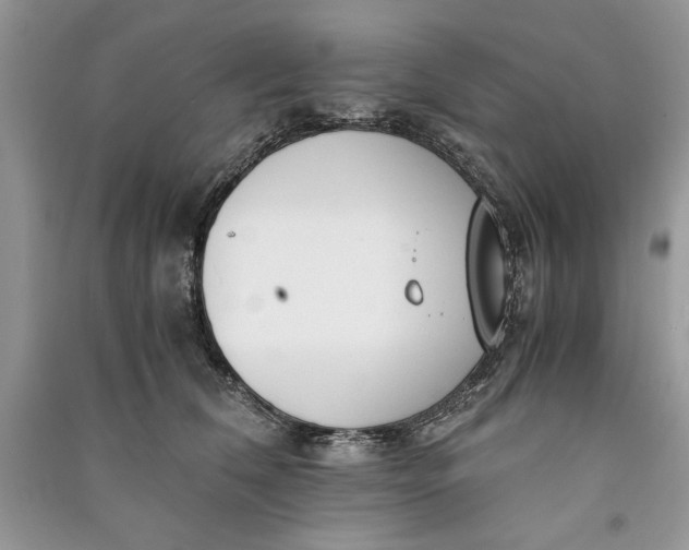 X0000090700612200708101443
