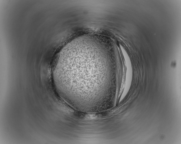 X0000090700613200708101443