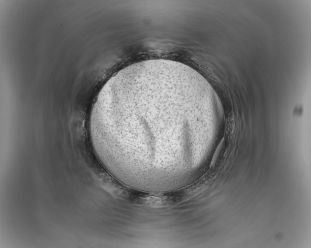 X0000090700615200708101443