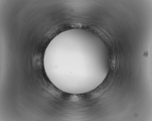 X0000090700616200708101443