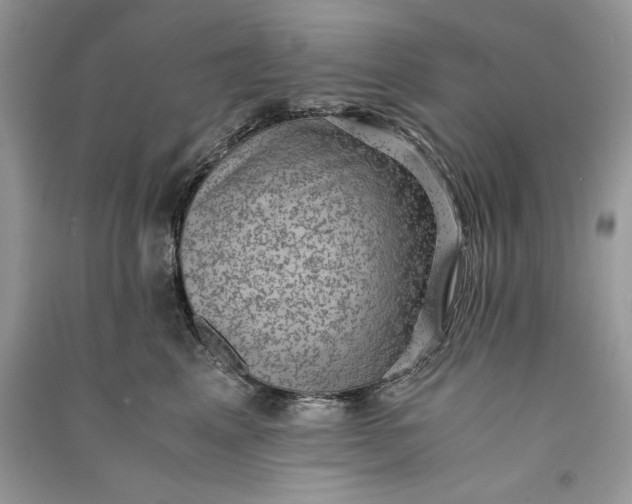 X0000090700617200708101443