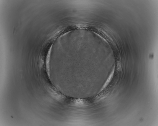 X0000090700618200708101443