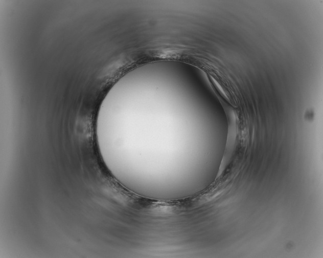X0000090700620200708101443