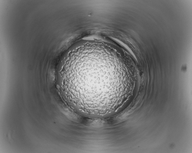 X0000090700621200708101443
