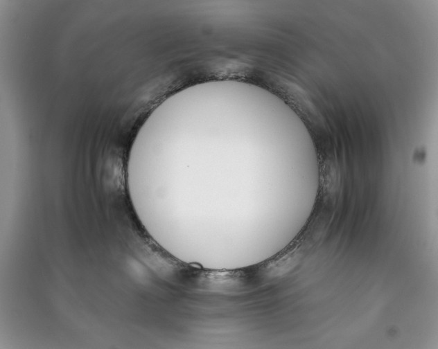 X0000090700622200708101443