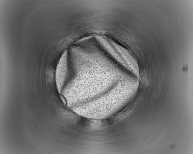 X0000090700623200708101443