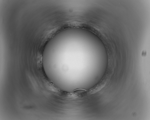 X0000090700624200708101443