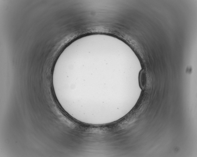 X0000090700625200708101442
